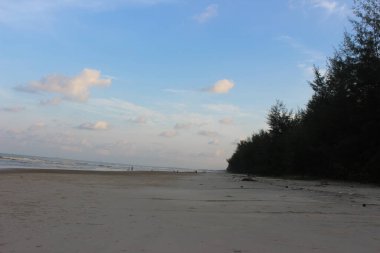 Geniş kumlu bir sahil manzarası, kenarlarında uzun ağaçlar, sakin okyanus dalgaları, ve çoğunlukla açık bir gökyüzü, barış ve doğal güzelliği çağrıştırmak için siyah beyaz görüntüler..