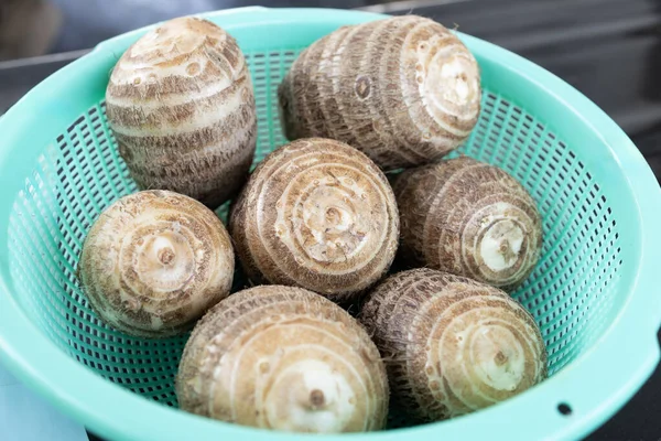 Parlak Yeşil Plastik Sepette Satoimo Taro Kök Sebzeleri