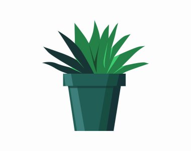 Tencere içindeki kaktüs izole edilmiş ikon. İçerideki bitkiler, ev bitkisi, çiçekli iç dekorasyon tasarım elementi çizimi.