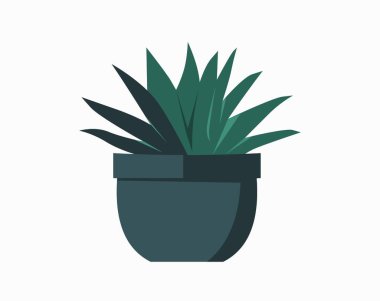 Tencere içindeki kaktüs izole edilmiş ikon. İçerideki bitkiler, ev bitkisi, çiçekli iç dekorasyon tasarım elementi çizimi.