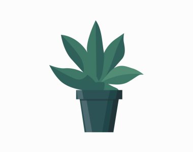 Tencere içindeki kaktüs izole edilmiş ikon. İçerideki bitkiler, ev bitkisi, çiçekli iç dekorasyon tasarım elementi çizimi.