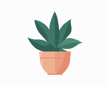 Tencere içindeki kaktüs izole edilmiş ikon. İçerideki bitkiler, ev bitkisi, çiçekli iç dekorasyon tasarım elementi çizimi.