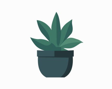 Tencere içindeki kaktüs izole edilmiş ikon. İçerideki bitkiler, ev bitkisi, çiçekli iç dekorasyon tasarım elementi çizimi.