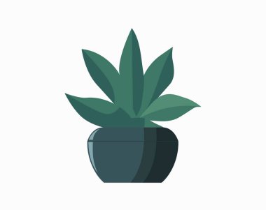 Tencere içindeki kaktüs izole edilmiş ikon. İçerideki bitkiler, ev bitkisi, çiçekli iç dekorasyon tasarım elementi çizimi.