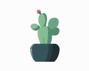 Tencere içindeki kaktüs izole edilmiş ikon. İçerideki bitkiler, ev bitkisi, çiçekli iç dekorasyon tasarım elementi çizimi.