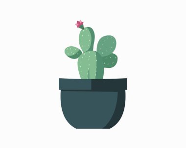 Tencere içindeki kaktüs izole edilmiş ikon. İçerideki bitkiler, ev bitkisi, çiçekli iç dekorasyon tasarım elementi çizimi.