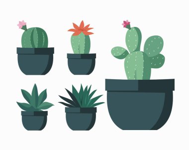 Çiçek saksılarında kaktüs seti. Egzotik tropikal ev bitkileri. Ev dekorasyonu ve botanik tasarımı için düz veya çizgi film vektör çizimi. Beyaz arkaplanda izole edilmiş simgeler.