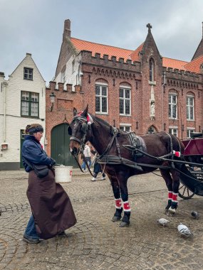 Bruges, Belçika 27 Aralık 2025. Serin bir kış gününde tarihi binalar, turistler ve güvercinlerle çevrili ortaçağ şehir meydanında giyinmiş bir ata su sunan at arabası işçisi..