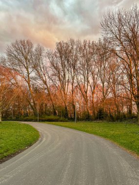 Boş asfalt yolu, yeşil çimenler üzerinde kıvrılarak, yumuşak altın gün batımında parıldayan ağaçlara doğru, dramatik bulutlu bir gökyüzünün altında..