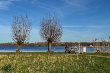 Zoetermeer, Hollanda 2 Mart 2026: De Leyens parkındaki sessiz göl manzarası son sınıf öğrencisi bisikletiyle bankta dinlenirken köpeği Zoetermeerse Plas 'ta suyun yanında yürüyor..