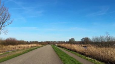 Zoetermeer, Hollanda 2 Mart 2026: Sulak alanlar ve kentin dışındaki sazlıklar yakınlarındaki düz bir kırsal yol boyunca bisiklet sürücüleri. Sahne, geniş gökyüzü, düz arazi ve ilkbahar bitkileriyle açık Hollanda manzarasını gösteriyor.