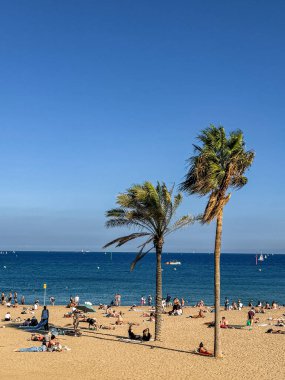 Barselona, İspanya - 4 Ekim 2025: Barceloneta sahilinde Akdeniz ve mavi gökyüzü olan iki palmiye ağacının yanında dinlenen turistler, Barselona 'da güneşli bir günde.