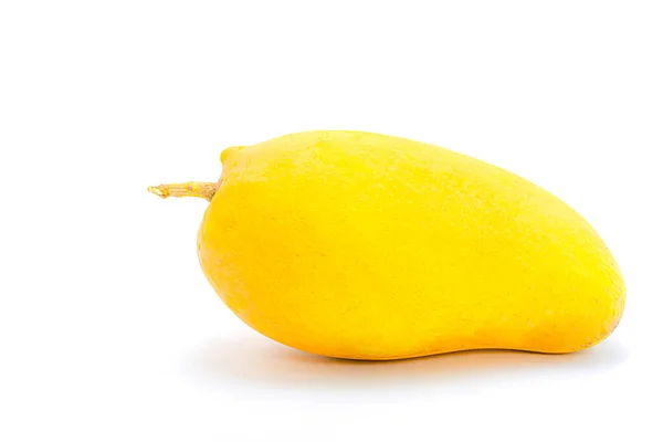 Mango Aislado Sobre Fondo Blanco — Foto de Stock