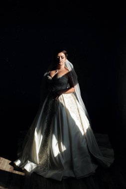 Yumuşak bir ışıkta zarif bir şekilde duran bir gelin çarpıcı bir elbise ve ayrıntılı süslemeler giyer. Karanlık arka plan onun sakin ifadesini ve giyiminin güzelliğini arttırıyor..