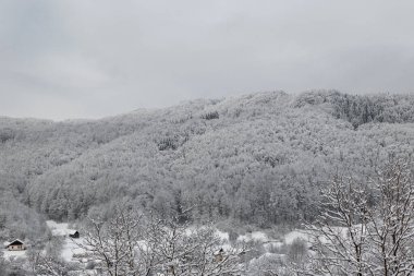 Dağlarda ağaçlarla kaplı kırsal bir arazide kar örtüyor. Bulutlu gökyüzü tipik kış manzarasını güçlendirir. Uzakta birkaç ev görünüyor..