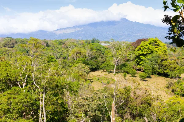 Costa Rica Vista Panorámica Selva Provincia San José Día Soleado — Foto de Stock