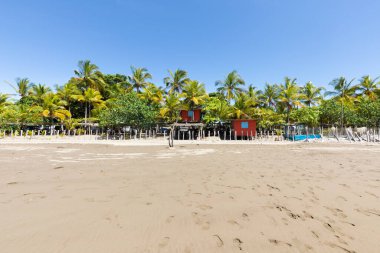 Panama Armuelles, plajın palmiye ağaçları arasında kırmızı bir ev.