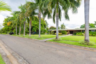 Panama David 22 Mayıs, yol prestijli bir kentsel alanda palmiye ağaçlarıyla dolu. Çekim 22 Mayıs 2021