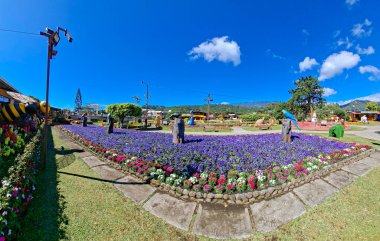 Boquete, Panama - 8 Ocak 2026 - panoramik bir çiçek tarlası manzarası ve çiçek ve kahve fuarında tahtaya oyulmuş süslemeler