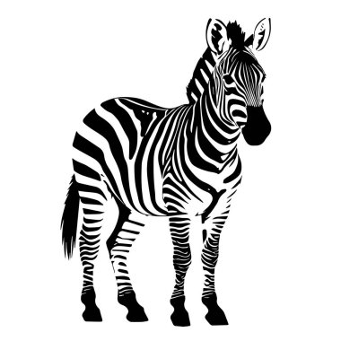 Ayrıntılı bir zebra silueti vektör çizimi. Yüksek kaliteli siyah beyaz safari hayvan sanatı vahşi yaşam logoları, doğa tasarımları ve egzotik desenler için mükemmel. Temiz, profesyonel SEO grafikleri.