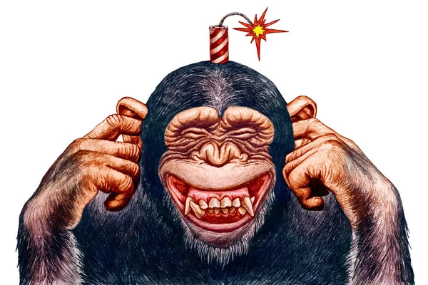 Monkey with firecrackers on the head. Pencil drawing illustration.