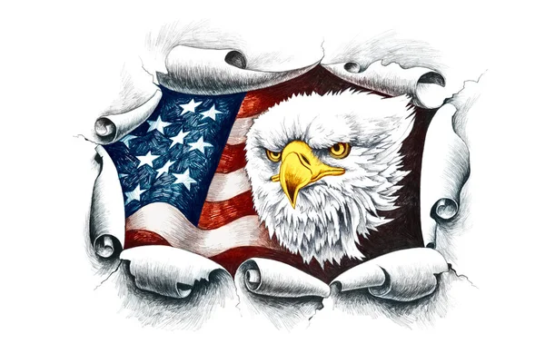 Американский Лысый Орел Пробивающий Бумажную Стену Фоне Флага Соединенных Штатов — стоковое фото