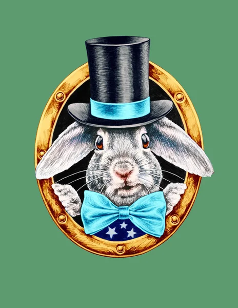 White Rabbit Black Hat Bow Tie Pencil Illustration — Stock Photo, Image