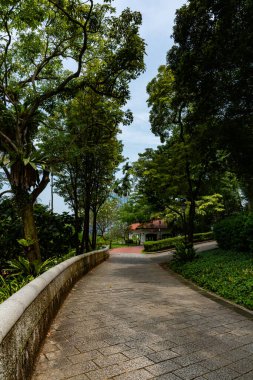 Uzun ağaçlar ve doğal yeşilliklerle çevrili Singapur, Fort Canning Park 'taki yemyeşil bir parkın içinden geçen huzurlu bir taş patika sakin ve davetkar bir açık hava manzarası yaratıyor..