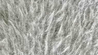 Yaratıcı duvar kağıtları ve tasarım afişleri için karmaşık beyaz iplikler manevi dokuyu kapatır hassas ağ soyut arkaplanı.