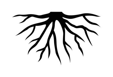 Ağacın kökü. Siyah siluet. Vektör