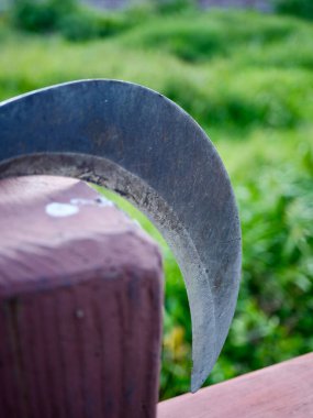 Çimenlerdeki eski bir baltanın dikey görüntüsü.