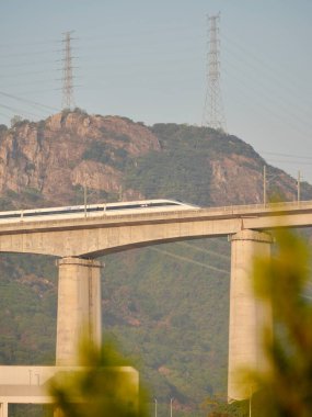 Tren, dağ manzarasının üzerinden geçiyor.