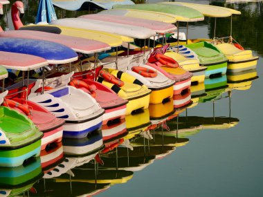 Su boyunca uzanan renkli kürek tekneleri