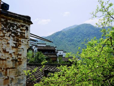 Yeşil ağaçlarla çevrili eski binalar.
