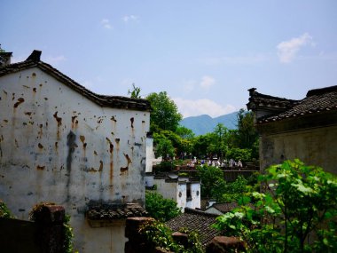 Etrafı yemyeşil ağaçlarla çevrili eski binalar