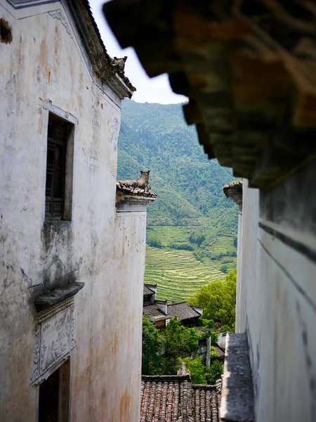 Yeşil dağlara doğru eski binaların arasına bak