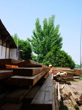 Yeşil ağaçların yanına istiflenmiş tahta tahtalar.