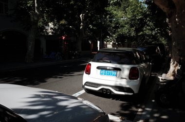 Ağaç kaplı caddenin yanına park edilmiş beyaz araba.