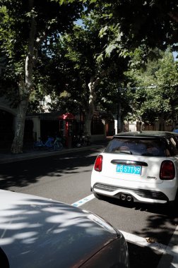 Ağaçlar boyunca park edilmiş arabalar.