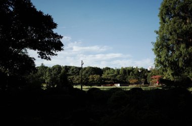 Berrak mavi gökyüzünün altında yemyeşil bir park