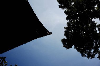 Ağaç dalları arasından gökyüzüne bak