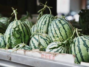 Tahta sandıkta istiflenmiş karpuzlar.