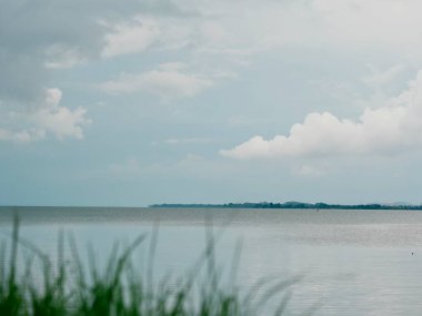 Sakin su bulutlu gökyüzünü ve otları yansıtıyor.