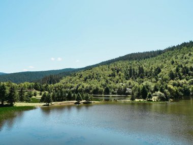 Bereketli Yeşil Ağaçlarla çevrili Serene Gölü