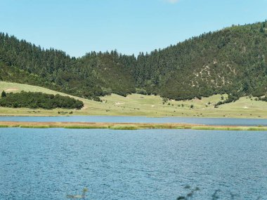 Sakin göl yeşil tepeleri ve ağaçları yansıtıyor.