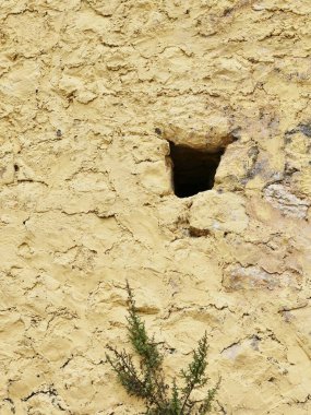 Küçük açıklıklı desenli sarı duvar