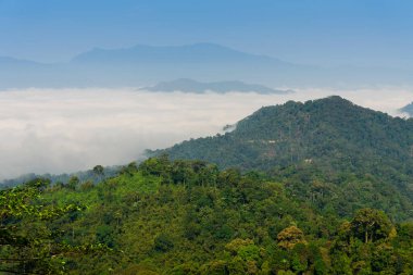 Khao Phanoen Thung 'daki sis denizi manzara manzarası, Kaeng Krachan Ulusal Parkı, Phetchaburi Eyaleti, Tayland, şafak vakti sakin ve görkemli bir dağ manzarası yaratıyor..