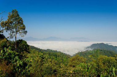 Khao Phanoen Thung 'daki sis denizi manzara manzarası, Kaeng Krachan Ulusal Parkı, Phetchaburi Eyaleti, Tayland, şafak vakti sakin ve görkemli bir dağ manzarası yaratıyor..