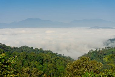 Khao Phanoen Thung 'daki sis denizi manzara manzarası, Kaeng Krachan Ulusal Parkı, Phetchaburi Eyaleti, Tayland, şafak vakti sakin ve görkemli bir dağ manzarası yaratıyor..