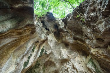 Tayland 'ın Ratchaburi Eyaleti' ndeki Khao Bin Mağarası 'ndaki doğal kireçtaşı sarkıtları jeolojik oluşumlar ve yeraltı güzelliklerini gözler önüne seriyor..